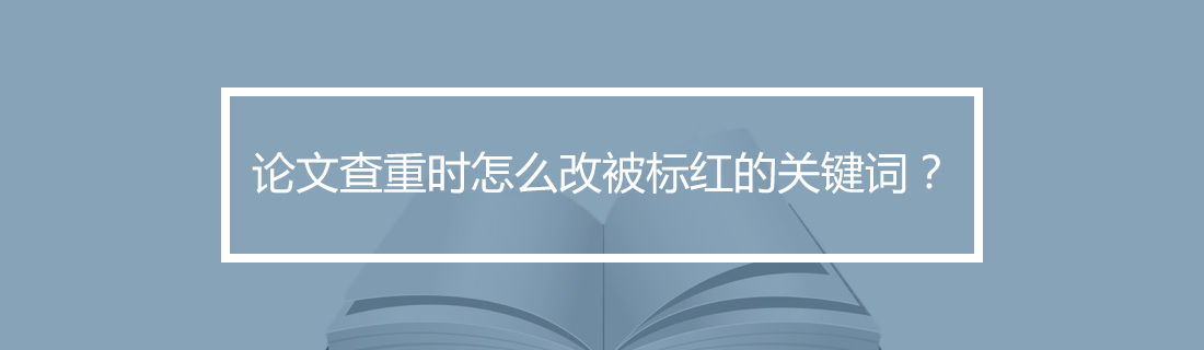 论文查重 论文查重