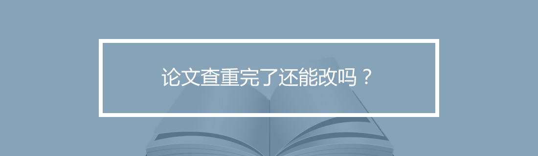 论文查重